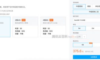 腾讯云免备案云服务器（中国香港/美国/新加坡/德国/俄罗斯）